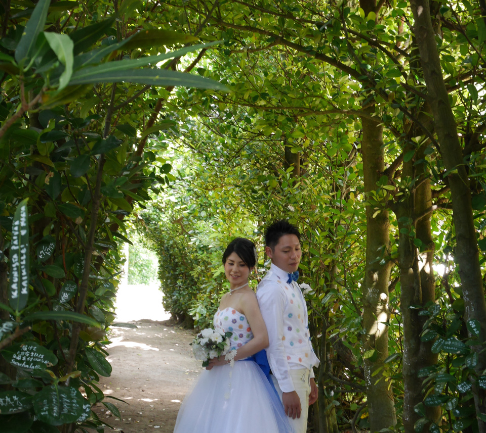 フクギ並木での写真撮影